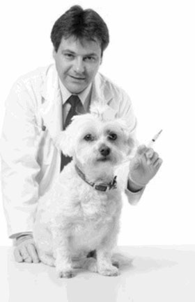 вакцины для собак в Москве